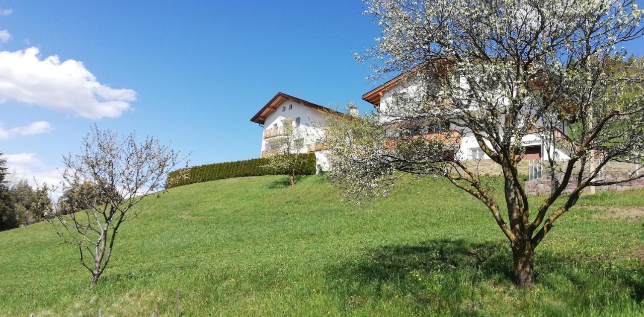 Agriturismo Ferienhof Gschloier (Adults Only) ライオーン エクステリア 写真