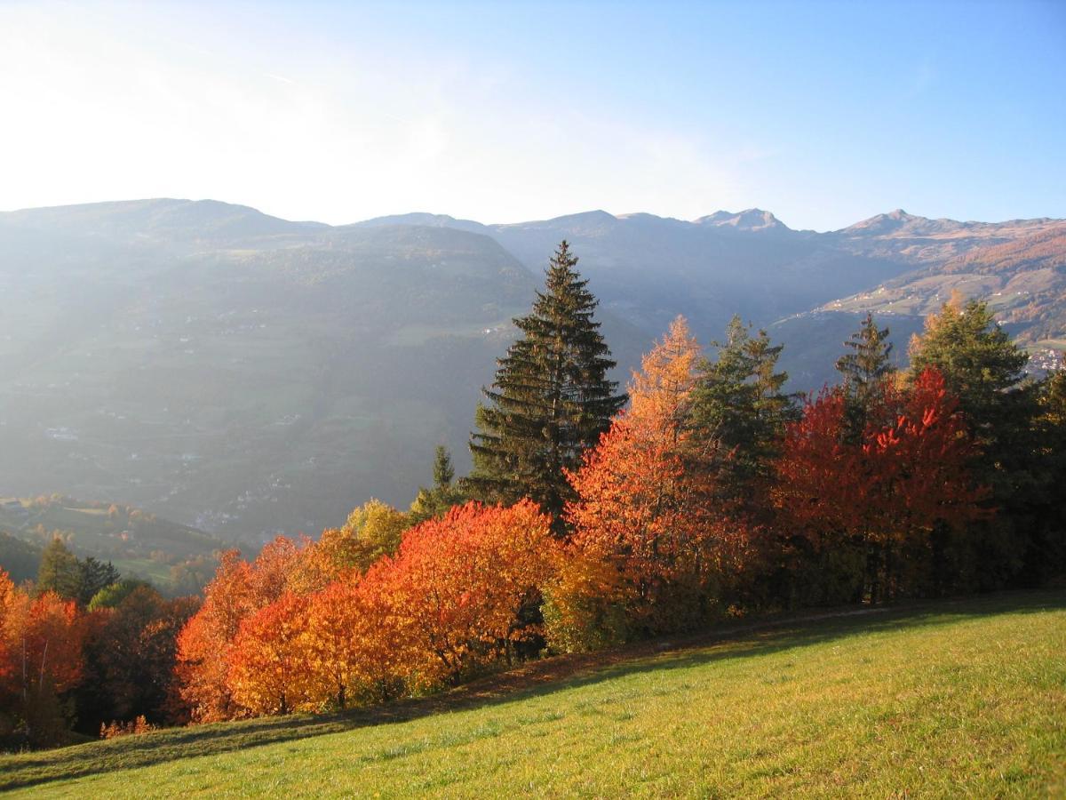 Agriturismo Ferienhof Gschloier (Adults Only) ライオーン エクステリア 写真